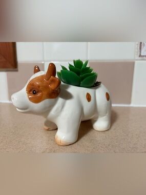 Cow Ceramic Planter with Green Succulent